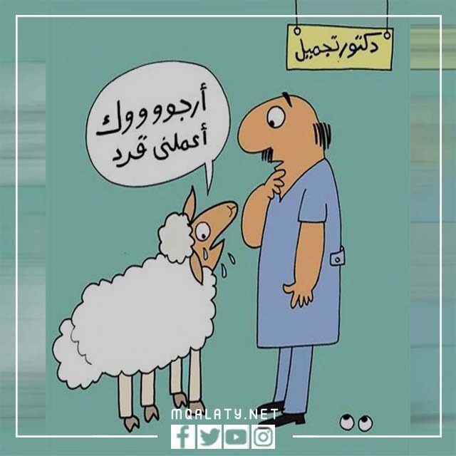 اجمل الصور المضحكة عن عيد الاضحى