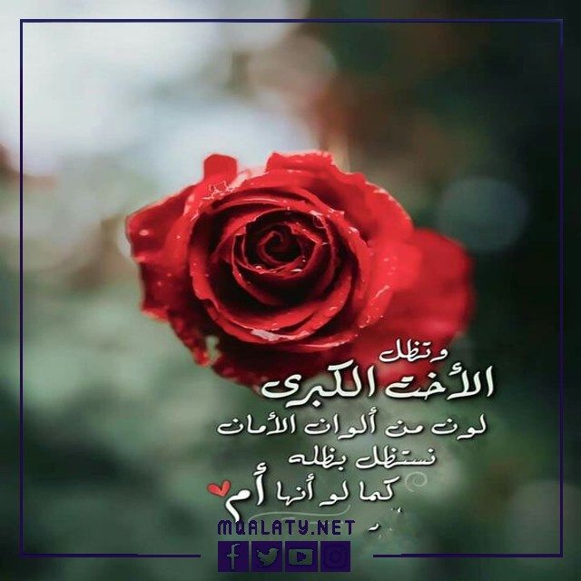 اجمل صور وخلفيات حالات واتس اب عن الاخت