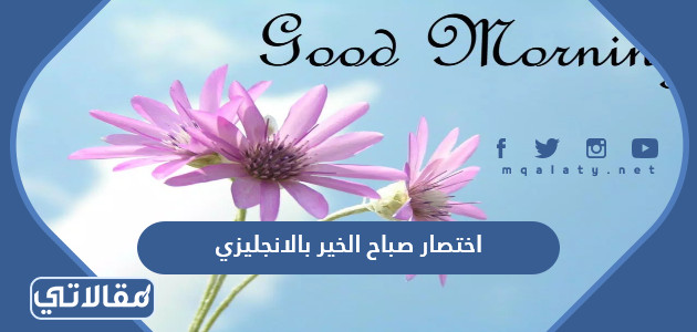 اختصار صباح الخير بالانجليزي