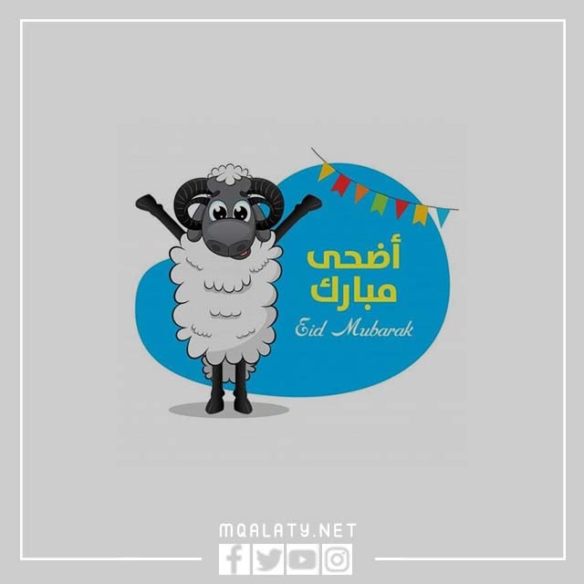 اضحى مبارك وَجه خَروف العِيد كرتون