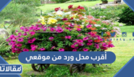اقرب محل ورد من موقعي