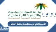 كيفية الاستعلام عن صلاحية رخصة العمل 2023