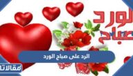 الرد على صباح الورد ، اذا احد قالي صباح الورد وش ارد