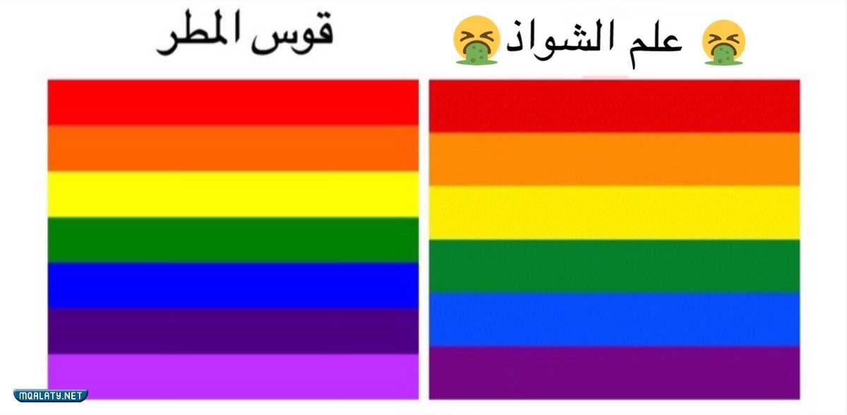الفرق بين ألوان قوس قزح وعلم المثليين