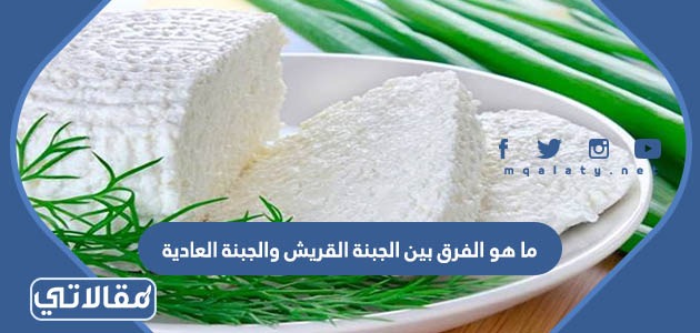 الفرق بين الجبنة القريش و الجبنة العادية