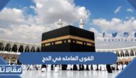 القوى العامله في الحج 2023 ورابط استمارة طلب المشاركة
