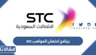 تفاصيل برنامج احتضان المواهب stc