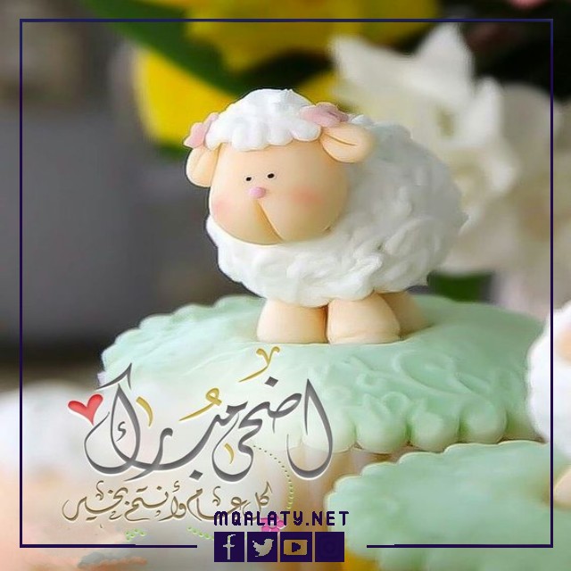 بطاقات وصور تَهنِئَةِ عِيدِ اَلْأَضحَى اَلمبَارَكِ لِأُختِ زَوجِي