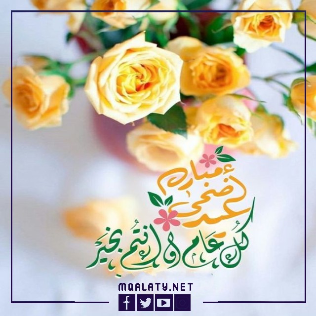 بطاقات وصور تَهنِئَةِ عِيدِ اَلْأَضحَى اَلمبَارَكِ لِأُختِ زَوجِي