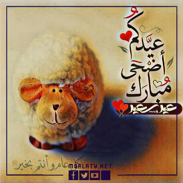بطاقات وصور تَهنِئَة عِيد الاضحى المبارك لِخَالَتي
