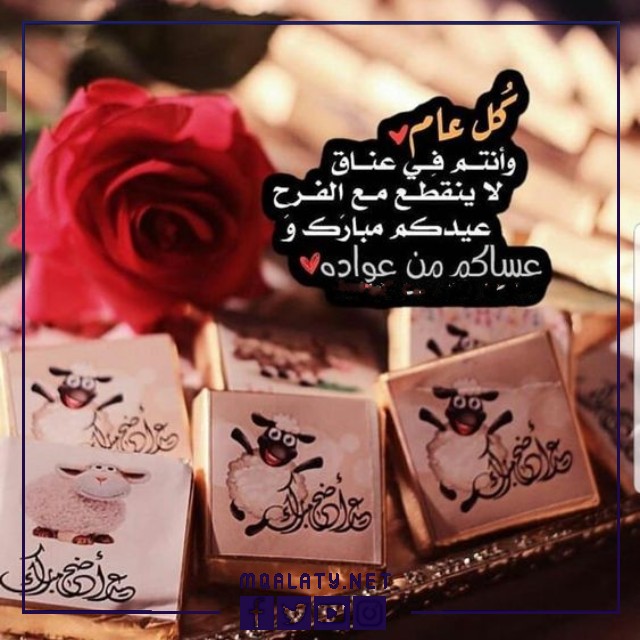 بطاقات وصور تَهنِئَة عِيد الاضحى المبارك لِخَالَتي