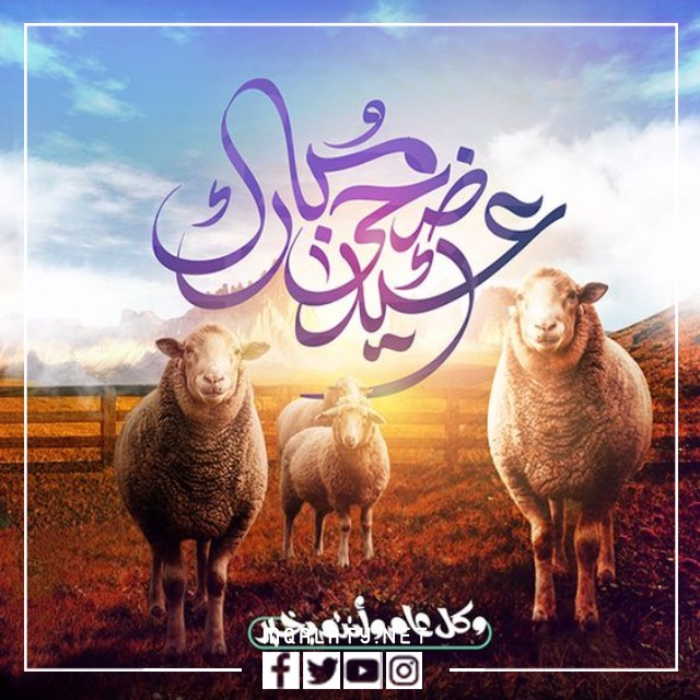 بطاقات وصور تهنئة عيد الاضحى المبارك لخالي