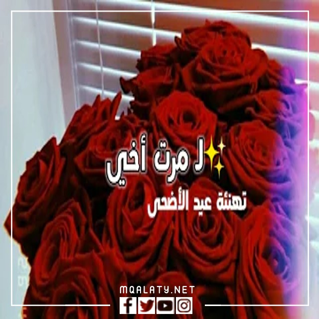 بطاقات وصور تَهْنِئَة عِيدِ اَلْأَضْحَى المبارك لزوجة اخي