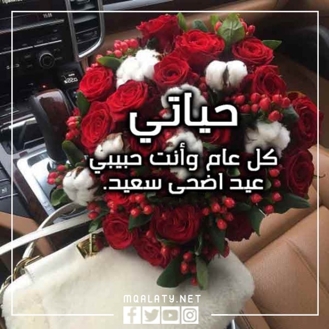 بطاقات وصور تَهنِئَة عِيدِ اَلأضحَى اَلمبَارَكِ لِلحَبِيبَةِ