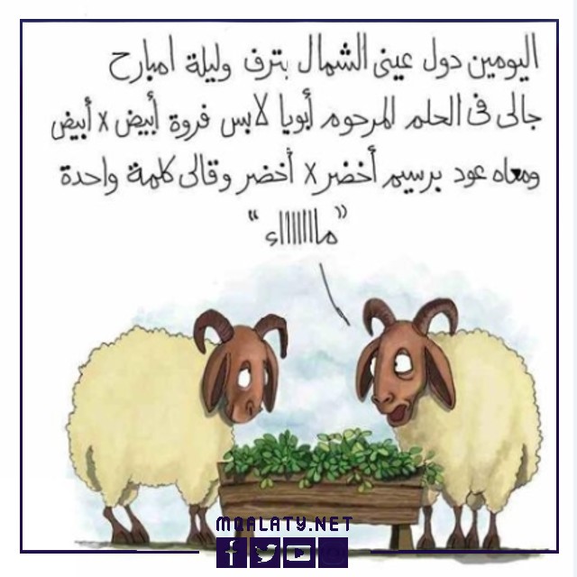 تهنئة عيد الاضحى مضحكة تويتر 1444