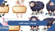 توزيعات خروف العيد 2026 اجمل افكار توزيعات عيد الاضحى