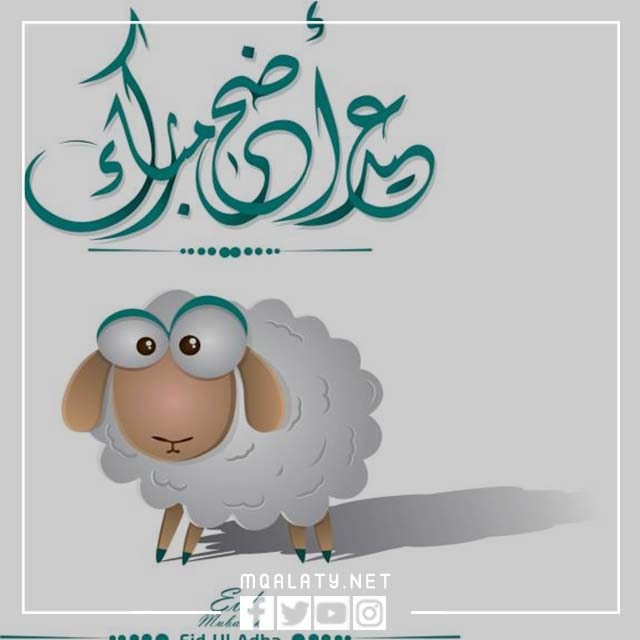ثيمات عيد الاضحى 2023