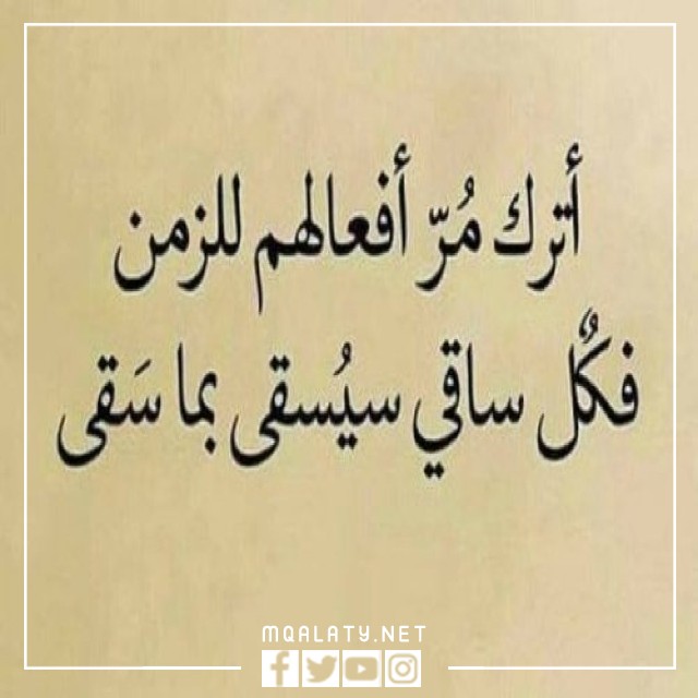 حالات واتس اب حكم قويه