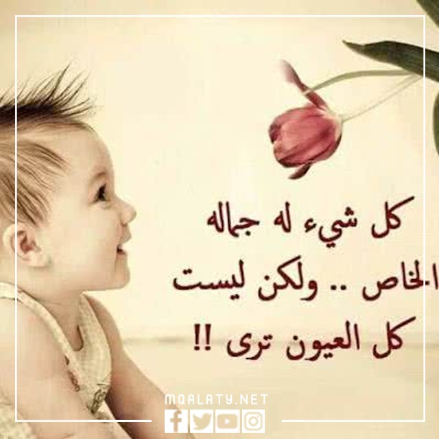 توبيكات واتس حالات واتس اب حكم قويه