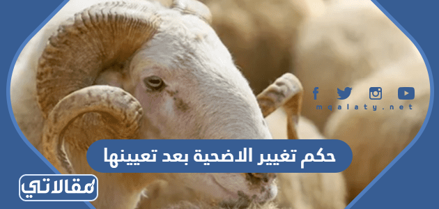 حكم تغيير الاضحية بعد تعيينها
