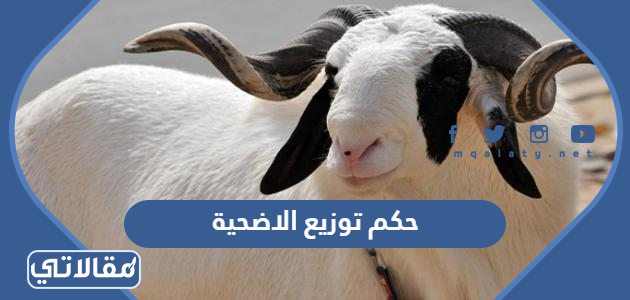 حكم توزيع الاضحية