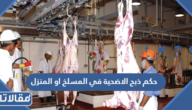 حكم ذبح الاضحية