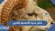 حكم شراء الاضحية بالدين