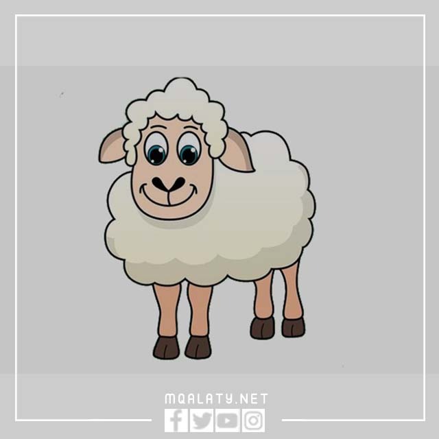 خروف العيد كرتون سكرابز sheep