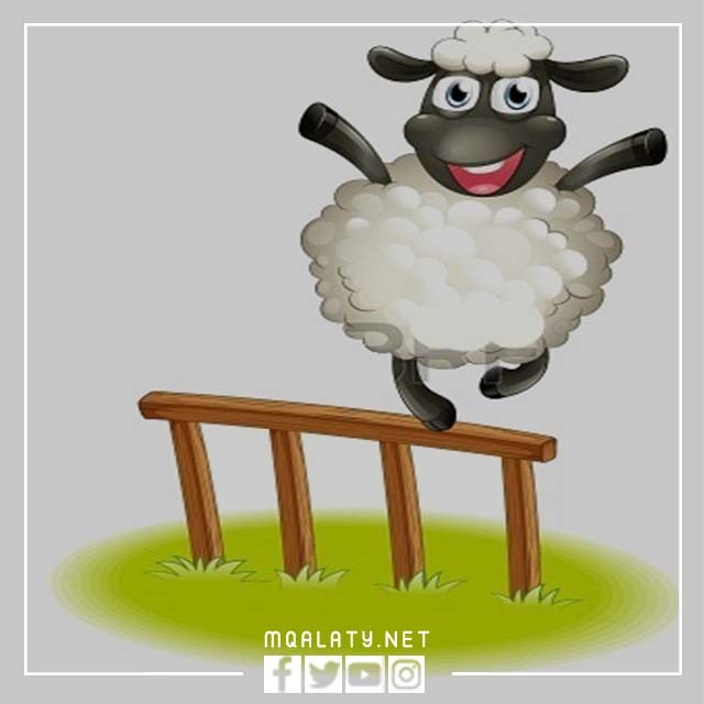 خروف العيد كرتون سكرابز sheep