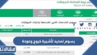 كم رسوم تمديد تأشيرة خروج وعودة وكيفية تمديدها 2026