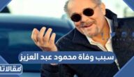 سبب وفاة محمود عبد العزيز