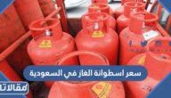 كم سعر اسطوانة الغاز في السعودية 1446
