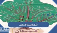 شجرة قبيلة قحطان الرئيسية وفخوذها