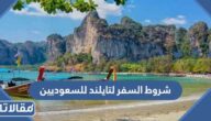 شروط السفر لتايلند للسعوديين 1447