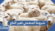 ما هي شروط المضحي لغير الحاج