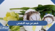 شعر عن عيد الاضحى 2026 اجمل قصائد واشعار عيد الاضحى المبارك