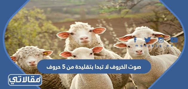 صوت الخروف لا تبدا بتقليدة من 5 حروف