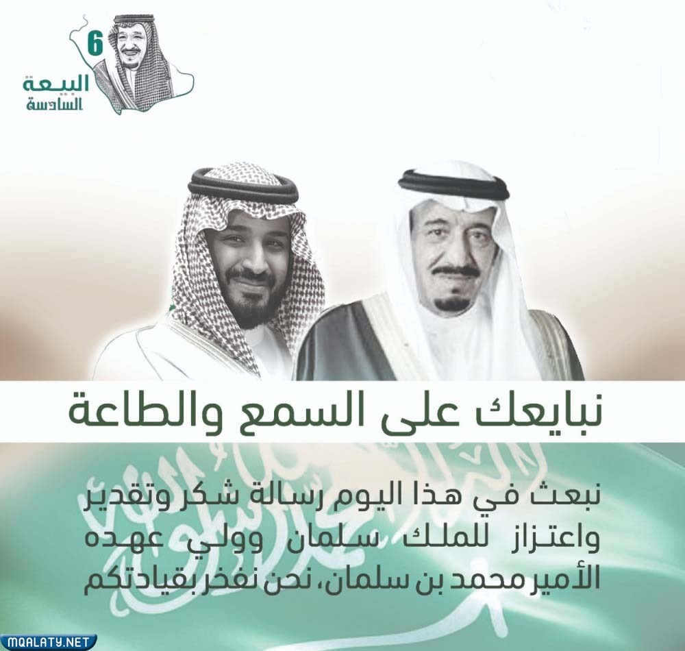 صور جميلة في ذكرى بيعة ولي العهد ١