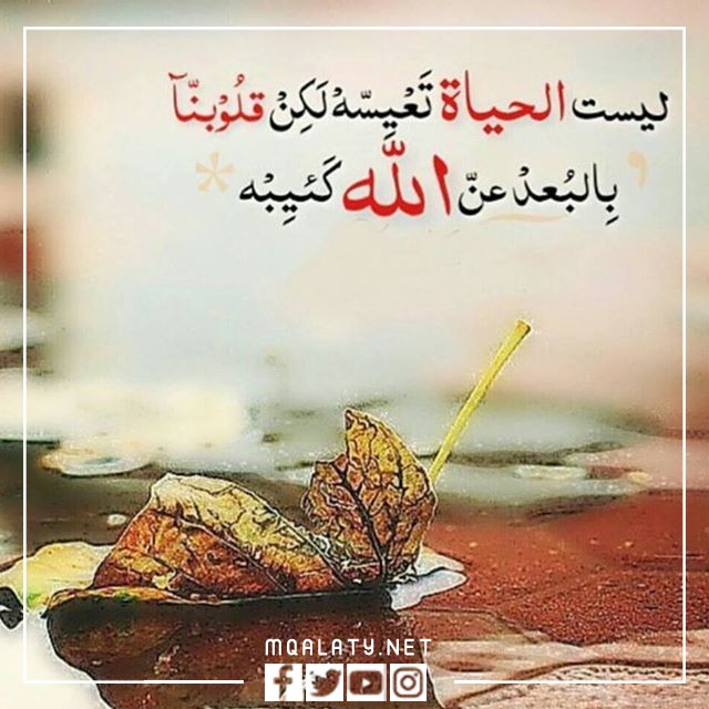 صورة حالات واتس اب عن الدنيا دواره 2023