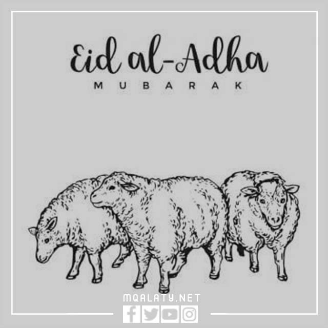 صور خَروف العِيد كَرتون للتلوين