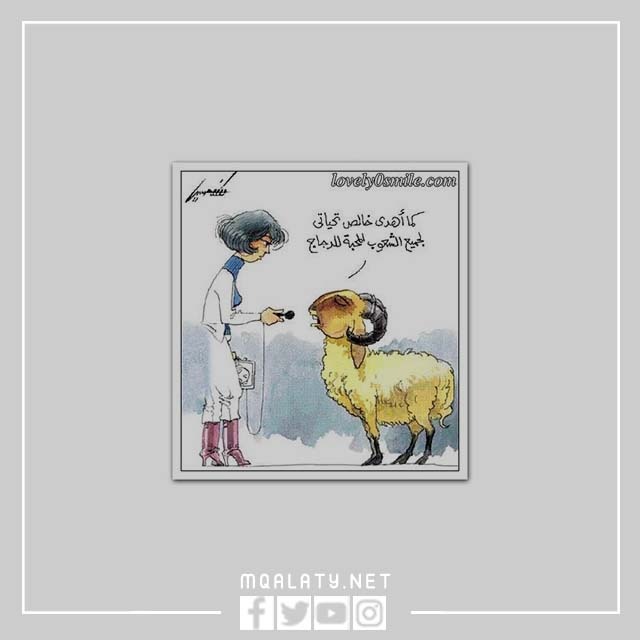 صور خَروف العِيد مضحك كَرتون