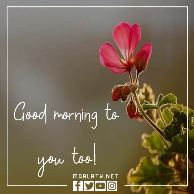 صور كلمة صباح الخير بالانجليزي مزخرفه