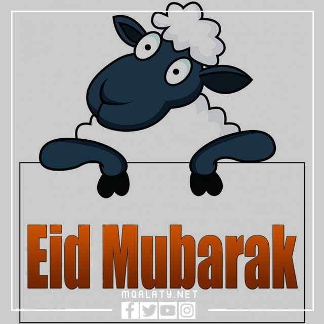 صُور وَجه خَروف العِيد مُضحكة