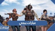 عبارات ببجي 2026 اجمل 100 عبارة ببجي قوية فخمة للبنات والشباب