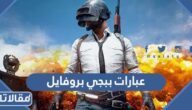 عبارات ببجي بروفايل 2025 قصيرة مزخرفة بالانجليزي والعربي