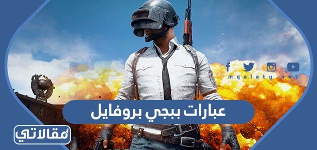 عبارات ببجي بروفايل