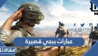 عبارات ببجي قصيرة 2026 حب حزينة مضحكة جديدة