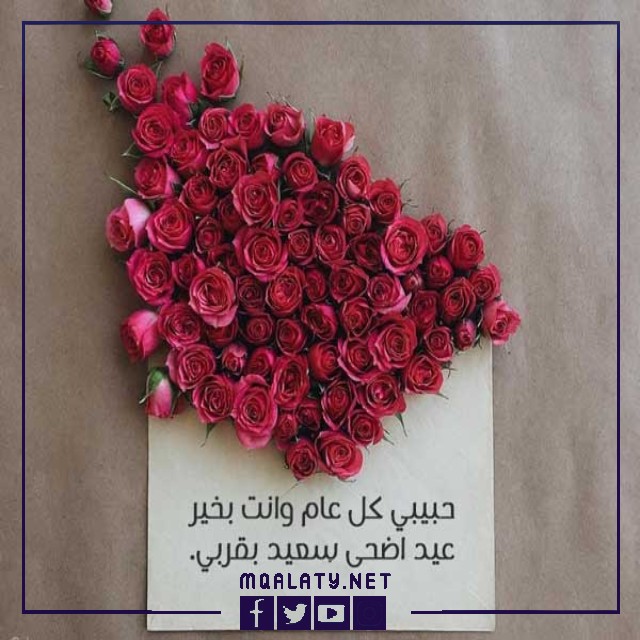 عبارات تهنئة عيد الاضحى للحبيبة