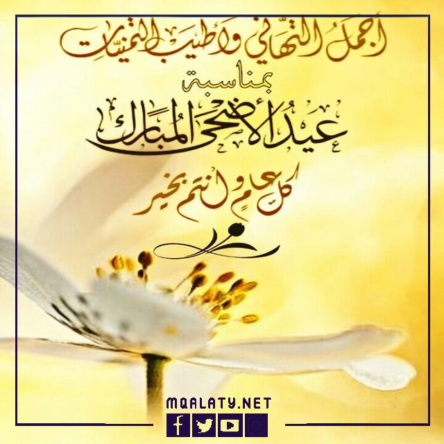 عبارات تهنئة عيد الاضحى للشركات