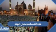 كم عدد المسلمين في الهند 2025